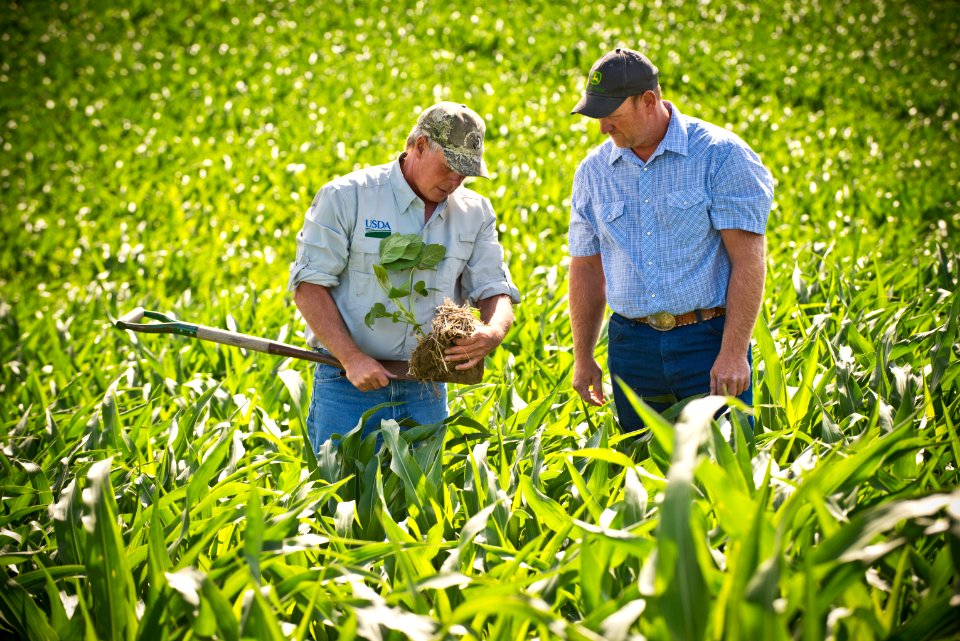 6568 NRCS projects.jpg
