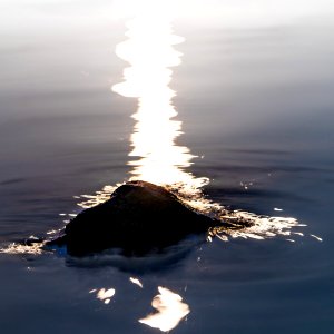 Flagged-32