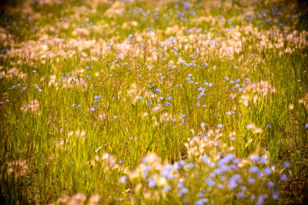 5033 NRCS projects