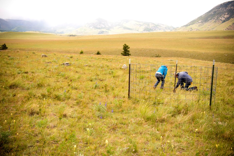 3413 NRCS projects