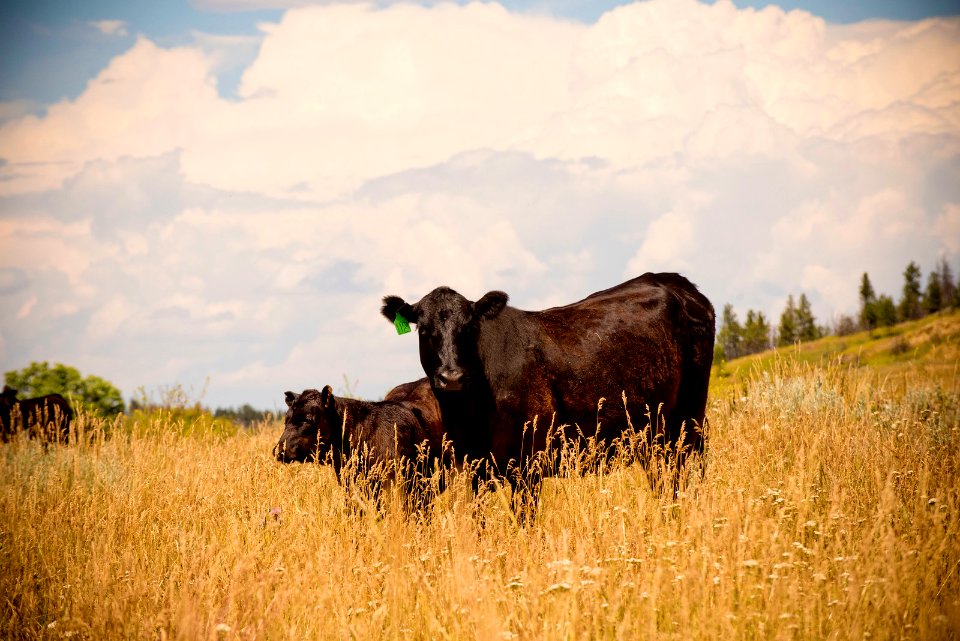 6526 NRCS projects.jpg