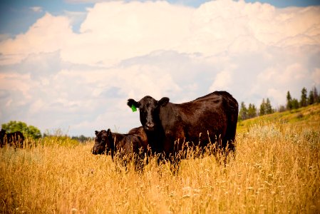 6526 NRCS projects.jpg