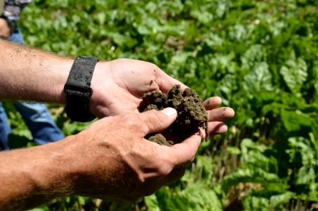 soilhealth006