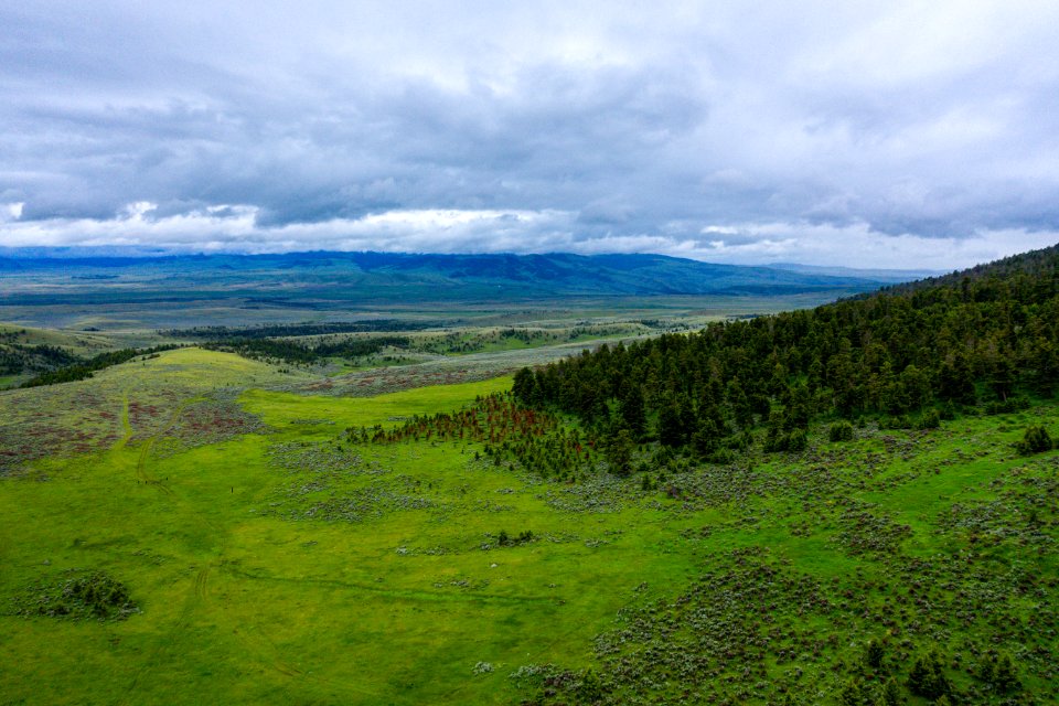 Jgibson Day3 0071 DJI 0650