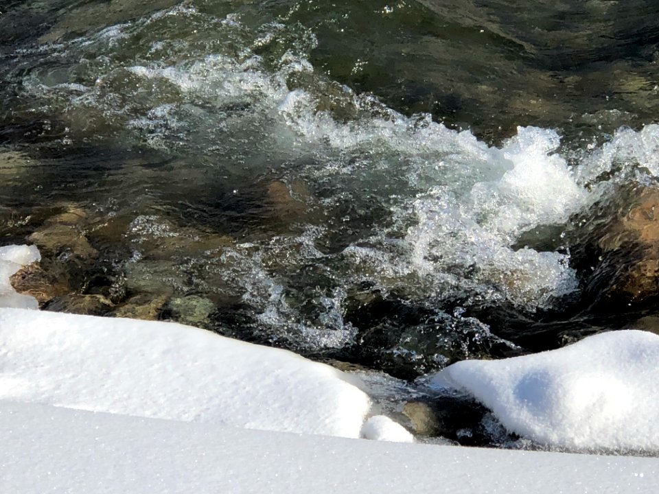SNOW45