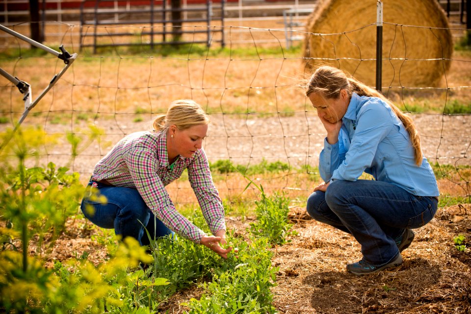 4429 NRCS projects
