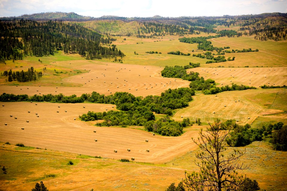 6497 NRCS projects.jpg