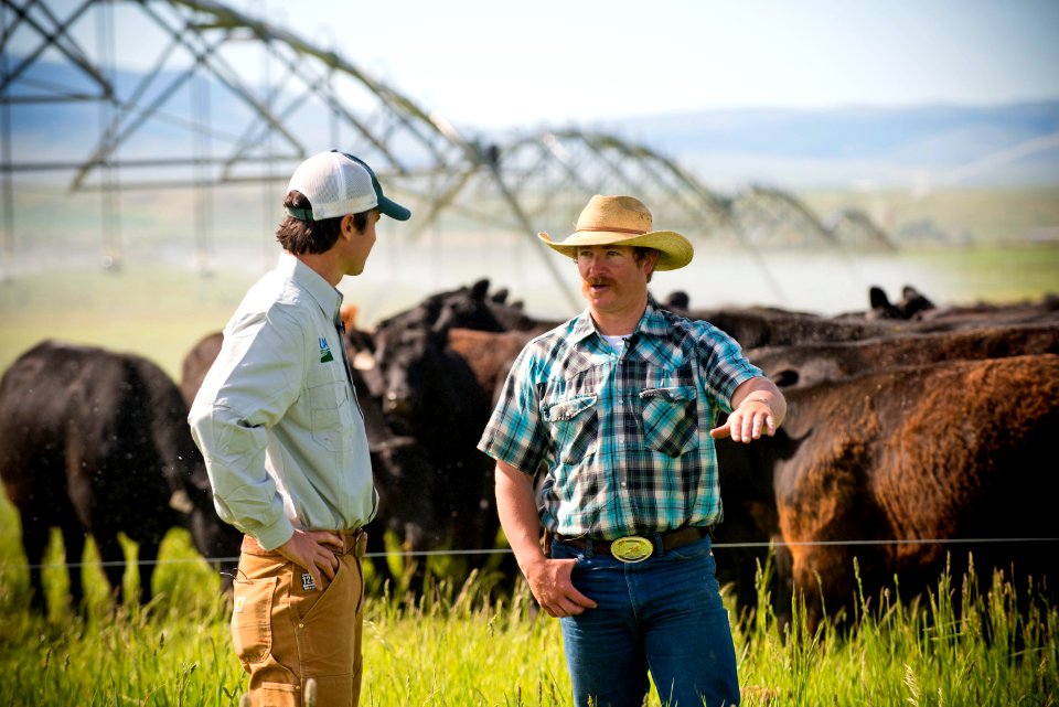 1402 NRCS projects