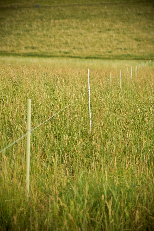 6098 NRCS projects.jpg