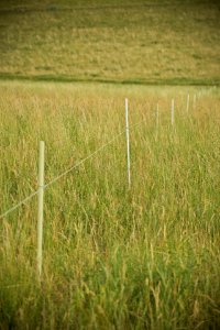 6098 NRCS projects.jpg