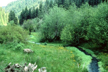 Riparian71.tif