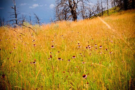 6475 NRCS projects.jpg
