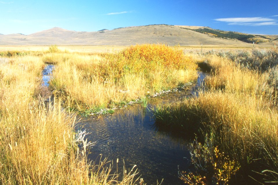 Riparian75.tif