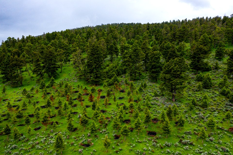 Jgibson Day3 0057 DJI 0634