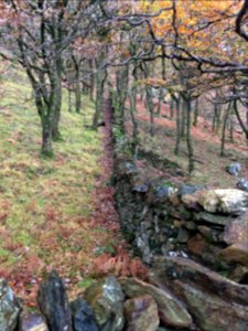 Snowdonia