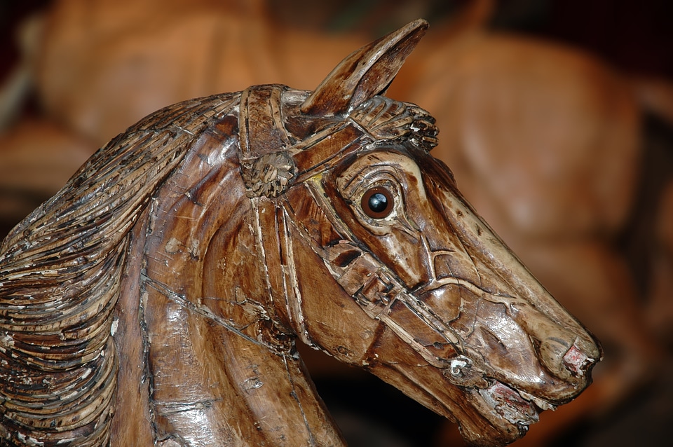 France museum manege
