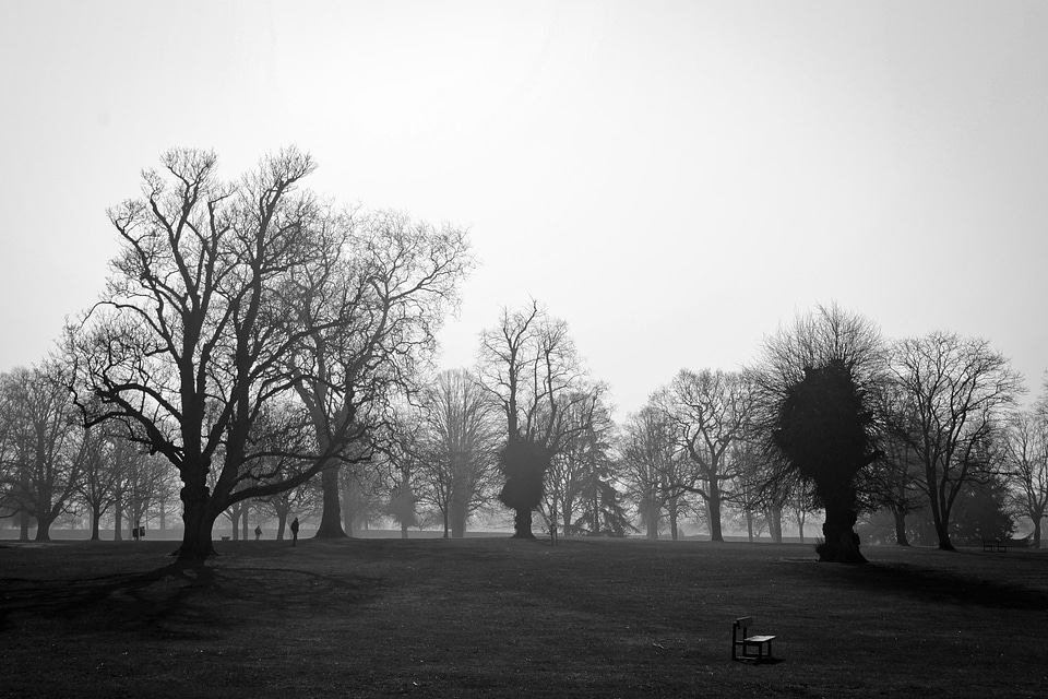 Black and white day bright