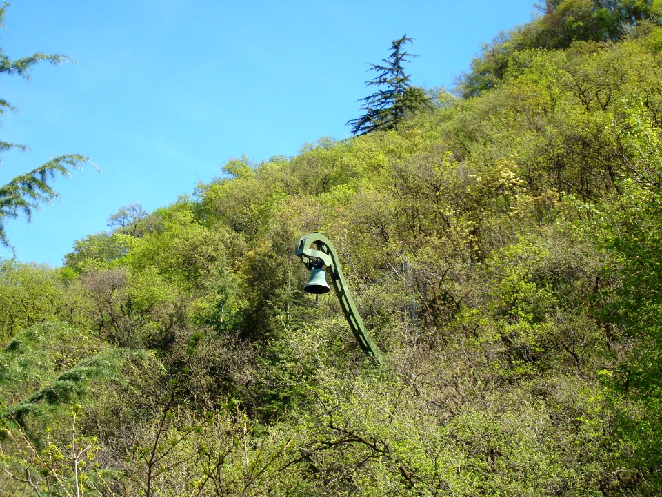 Glocke im Wald
