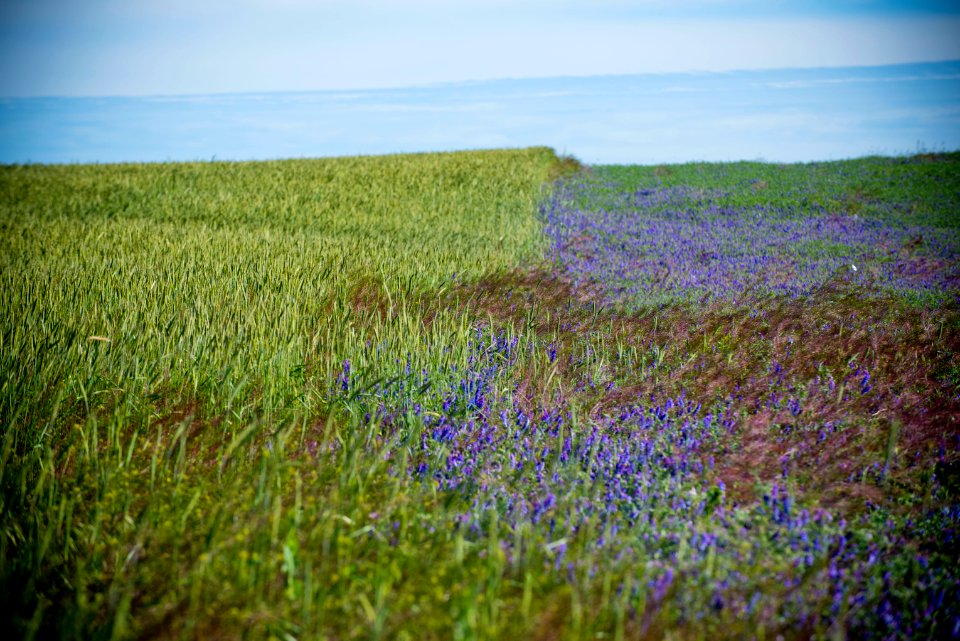 5053 NRCS projects