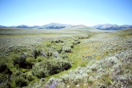 Rangeland04.tif