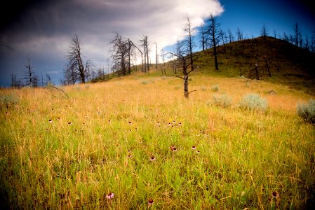 6466 NRCS projects.jpg