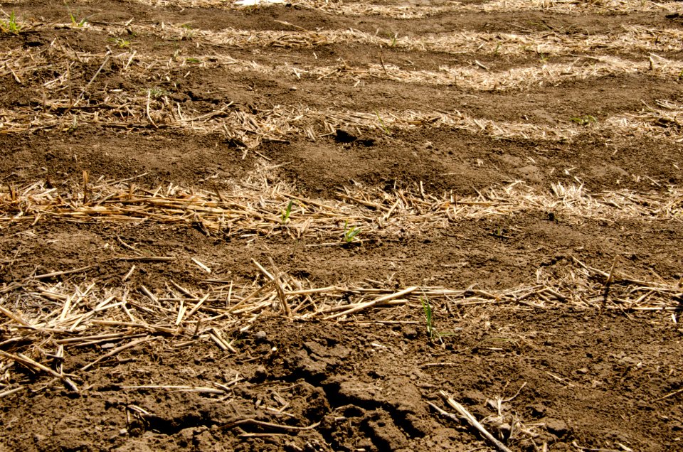 Crop Residue Management NR33 photo