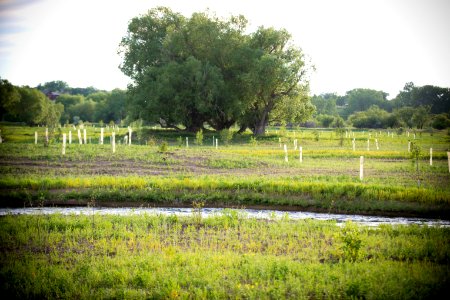 4710 NRCS projects