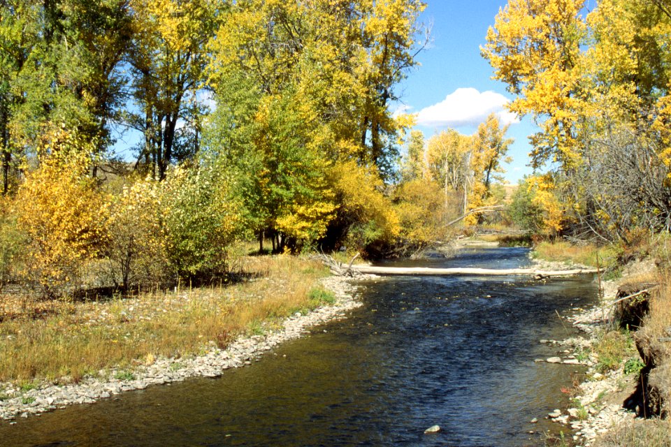 Riparian05.tif