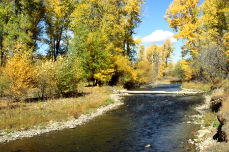 Riparian05.tif