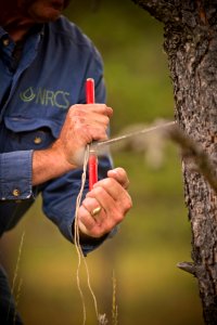 6343 NRCS projects.jpg