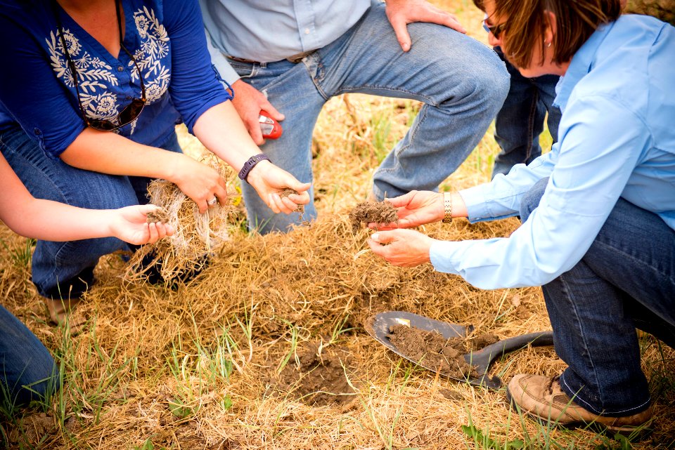 5582 NRCS projects.jpg