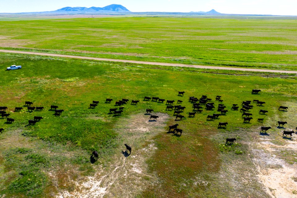 Jgibson Day1 0044 DJI 0156