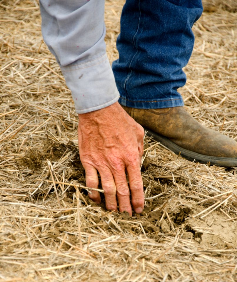 Crop Residue Management NR 02