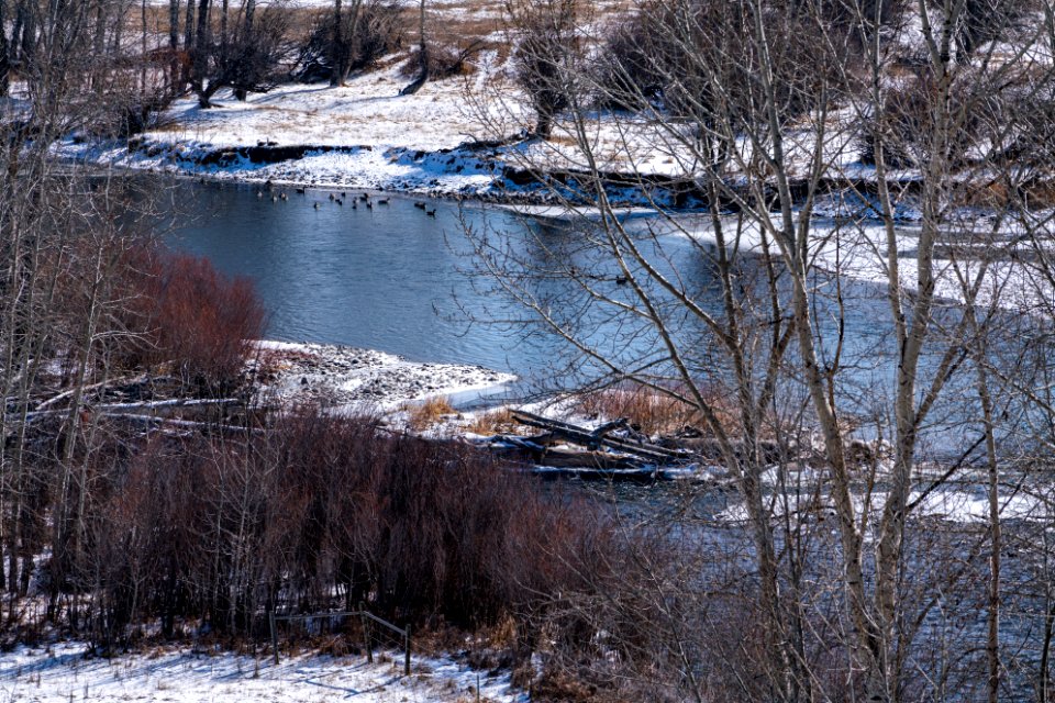 JGIBSON NRCS  DSC0275