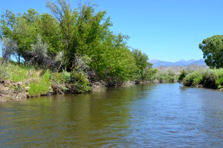 Riparian125