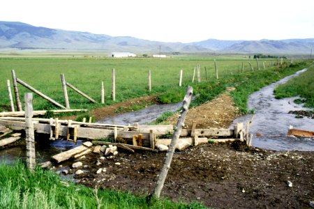 Irrigation33.tif