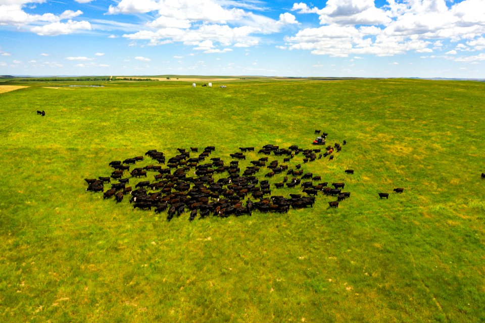 Jgibson Day7 0095 DJI 0869