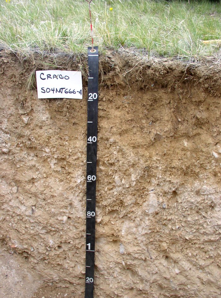 Soil Survey117.tif
