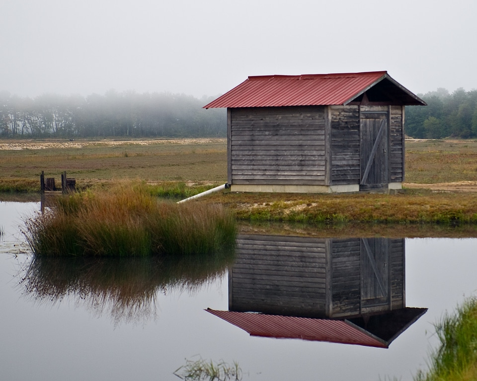 Misty lake reflection