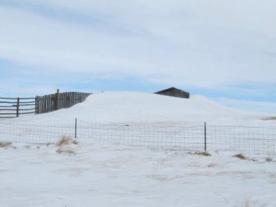Snow016