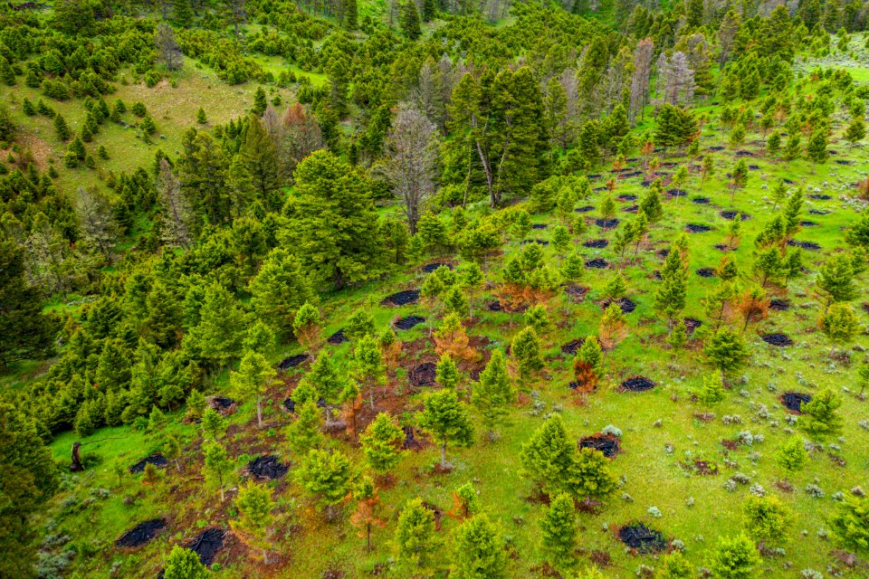 Jgibson Day3 0075 DJI 0659