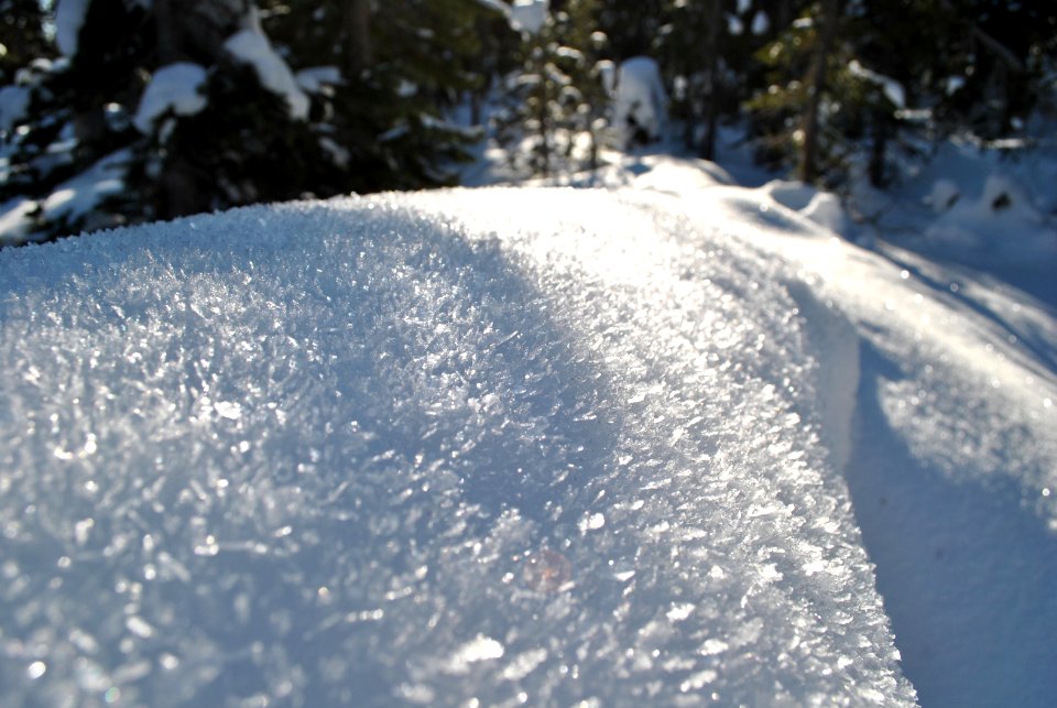 Snow018.jpg