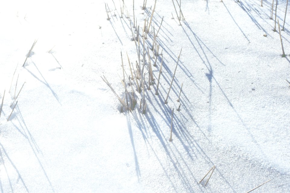 Conservation Tillage10.tif