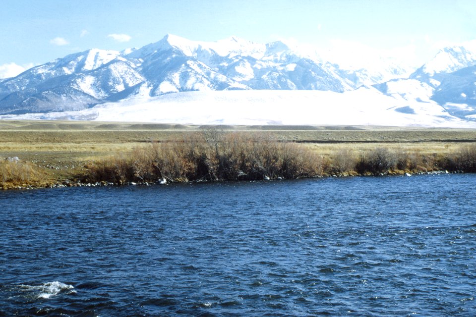 Riparian83.tif