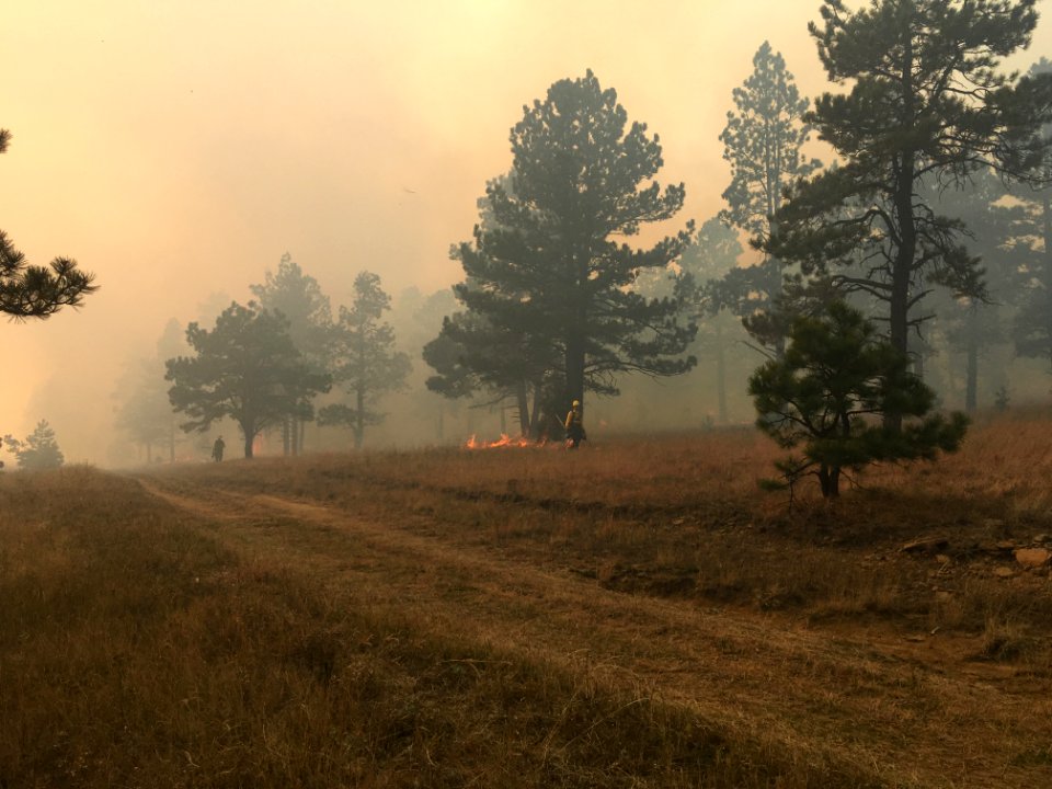 Prescribed Fire in Ponderosa Pine near Raton, NM