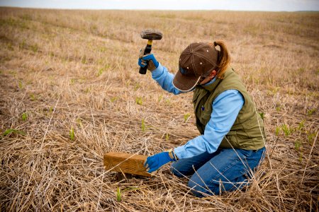 3116 NRCS projects