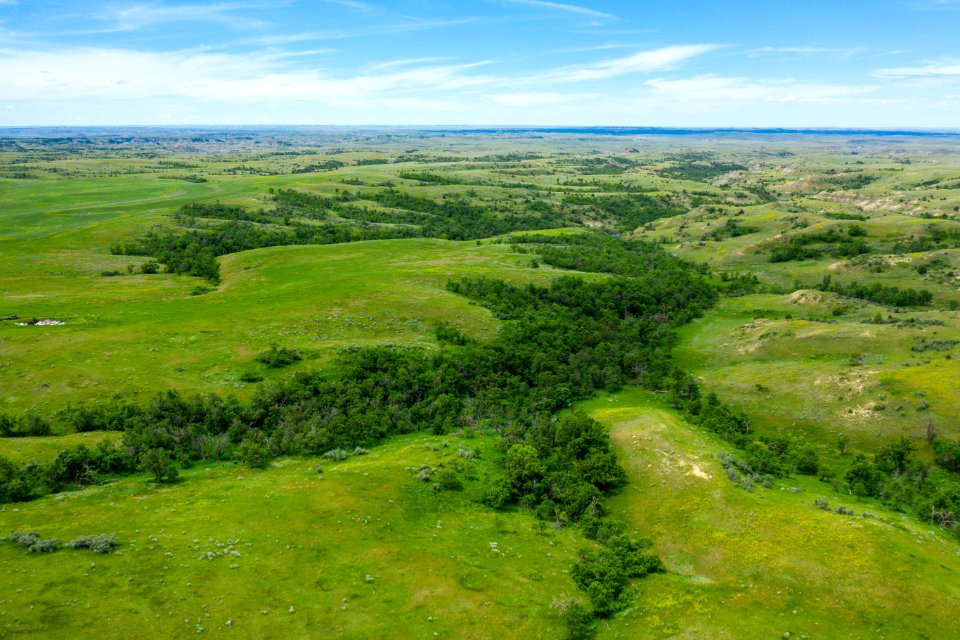 Jgibson Day8 0093 DJI 0927