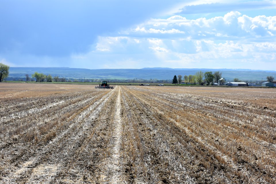 conservationtillage71