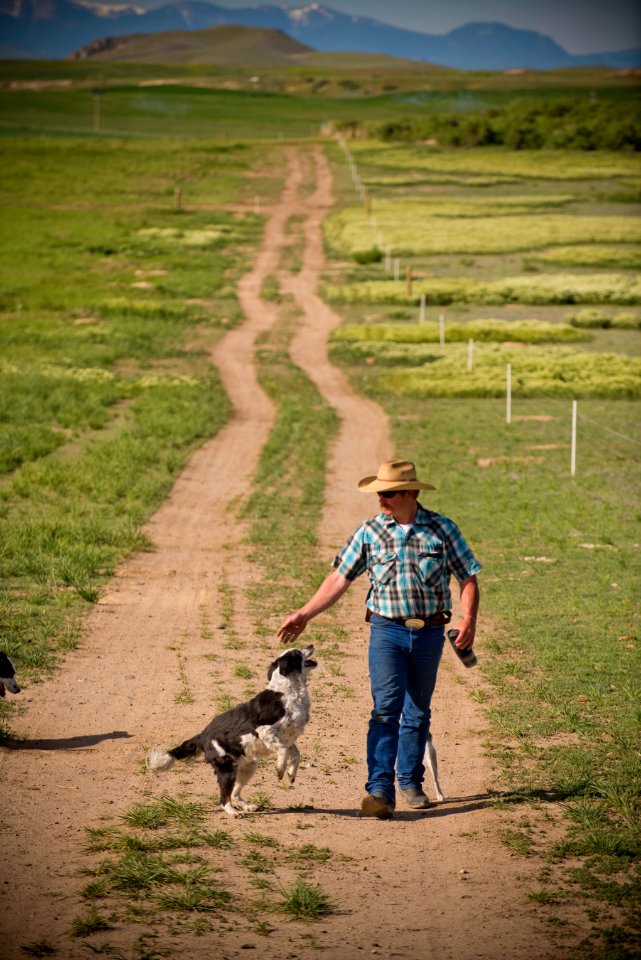 1191 NRCS projects
