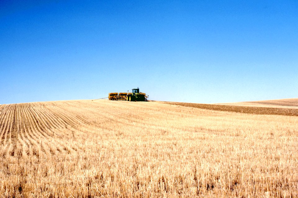 Conservation Tillage13.tif